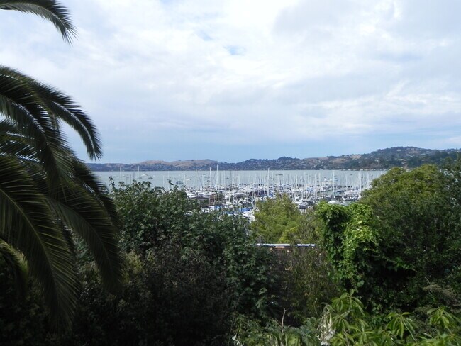 917 Bridgeway in Sausalito, CA - Building Photo - Building Photo