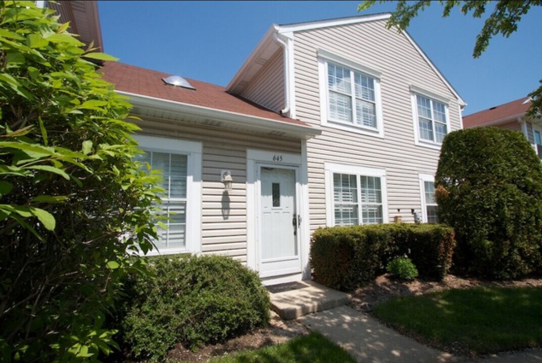 645 Le Parc Cir in Buffalo Grove, IL - Building Photo
