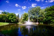 Rosewood Village in Roseville, MN - Foto de edificio - Building Photo