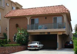 3615 Jasmine Ave in Los Angeles, CA - Building Photo - Other