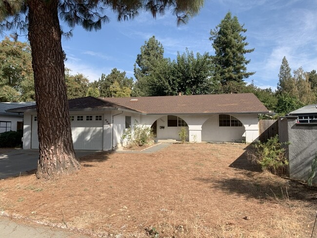 2823 Cascade Pl in Davis, CA - Building Photo - Building Photo