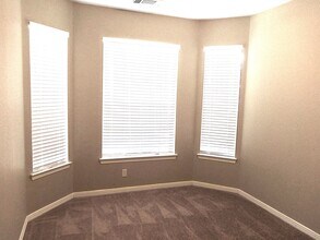 10126 Sand Tracks Ct in Houston, TX - Building Photo - Building Photo