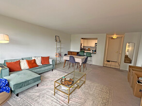 2650 N Lakeview Ave in Chicago, IL - Building Photo - Building Photo