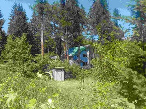 42062 Big Lodge Ln in Rollins, MT - Building Photo - Building Photo