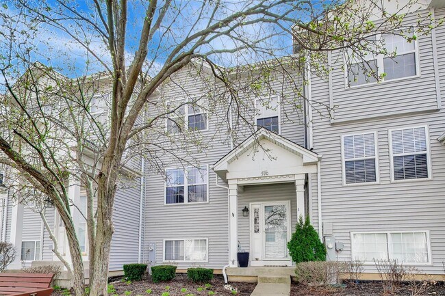 590 Triumph Ct in Hainesville, IL - Building Photo - Building Photo