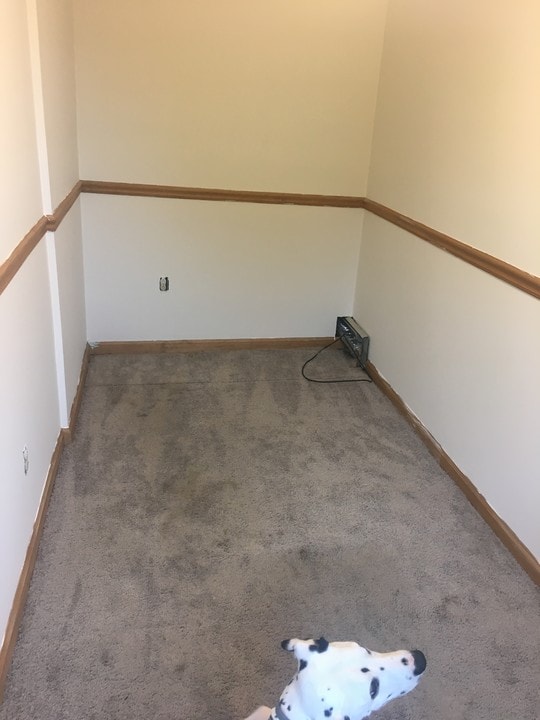 22 Lansing St in Cohoes, NY - Building Photo