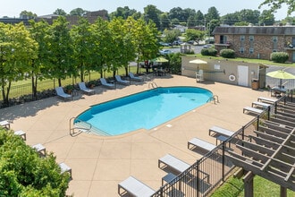 Poplar Terrace in Louisville, KY - Building Photo - Building Photo
