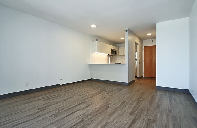 422 E Ohio St in Chicago, IL - Building Photo - Building Photo