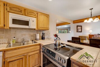 94300 Ryan Gulch Rd in Silverthorne, CO - Foto de edificio - Building Photo