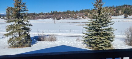 1185 Hersch Ave in Pagosa Springs, CO - Building Photo - Building Photo