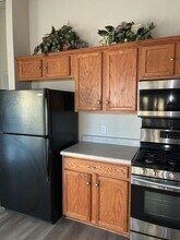 1105 Coronation Way in Pflugerville, TX - Building Photo - Building Photo