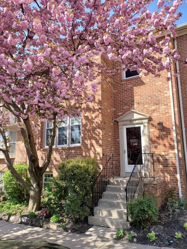 3137 Bradford Wood Ct Rentals in Oakton, VA