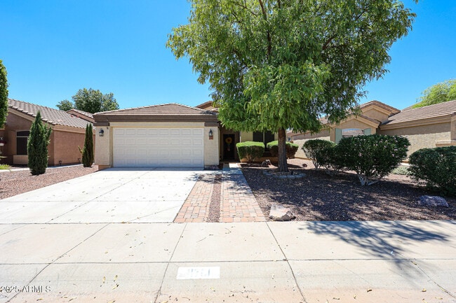 11761 W Dos Rios Dr in Sun City, AZ - Building Photo - Building Photo
