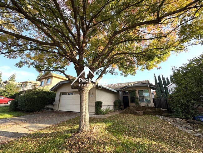 106 Diggins Dr in Folsom, CA - Building Photo - Building Photo