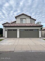 2462 W Rockrose Way in Chandler, AZ - Building Photo