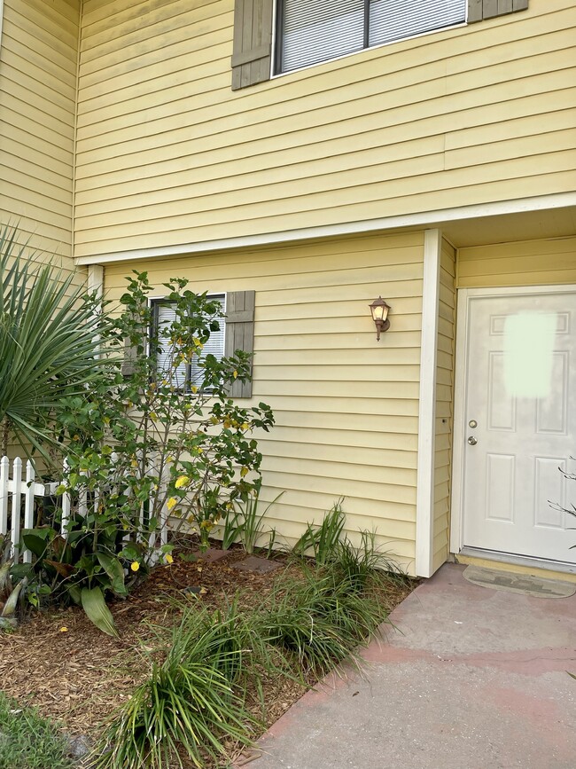 22701 Watersedge Blvd, Unit 19 in Land O Lakes, FL - Building Photo - Building Photo