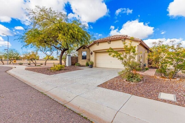 2624 W Beautiful Ln in Phoenix, AZ - Building Photo - Building Photo
