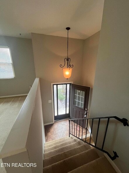 1113 Scottie Ln in Knoxville, TN - Building Photo - Building Photo