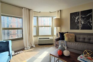 9 W Chestnut St in Chicago, IL - Building Photo