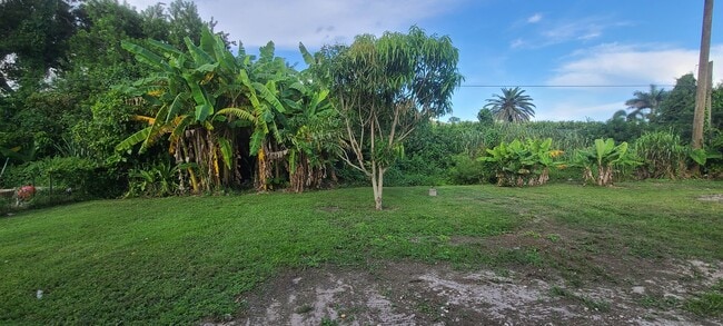 property at 19101 Holly Rd