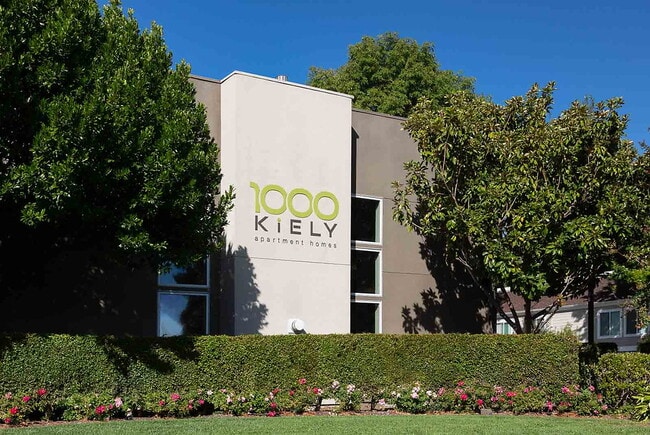 1000 Kiely