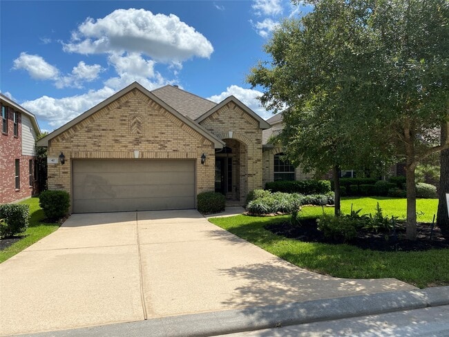 property at 42 Black Swan Ct