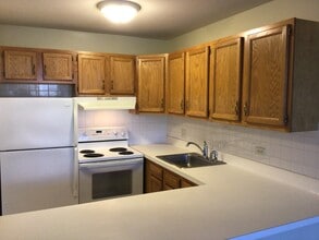 1811 Four Lakes Ave in Lisle, IL - Building Photo - Building Photo