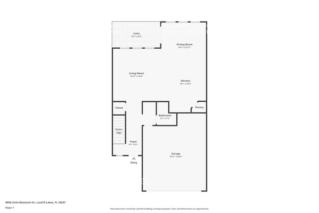 9808 Little Bluestem Dr in Land O Lakes, FL - Building Photo - Building Photo