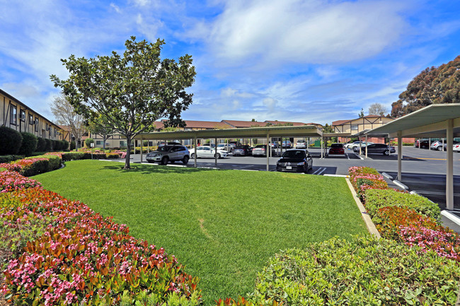 La Jolla Terrace in San Diego, CA - Foto de edificio - Building Photo