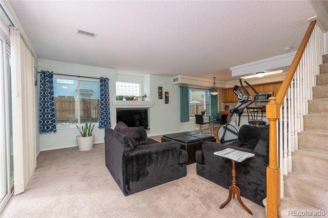 property at 4081 Odessa St