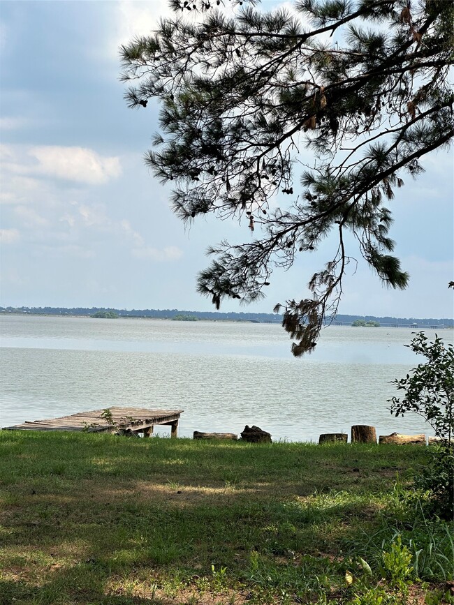 21110 Atascocita Pl Dr in Humble, TX - Building Photo - Building Photo