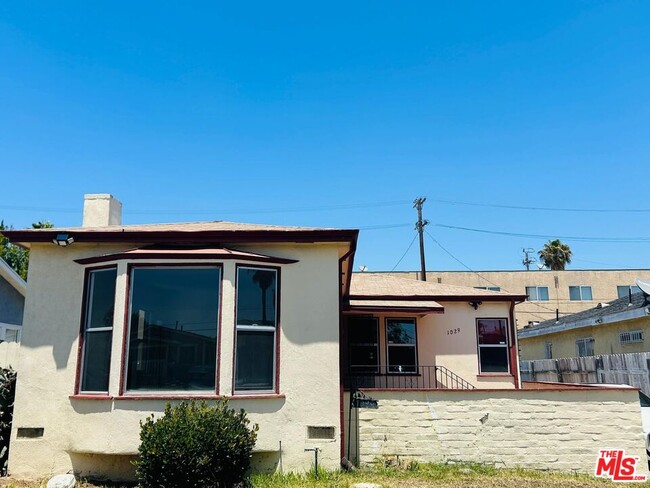 property at 1029 W 84th St