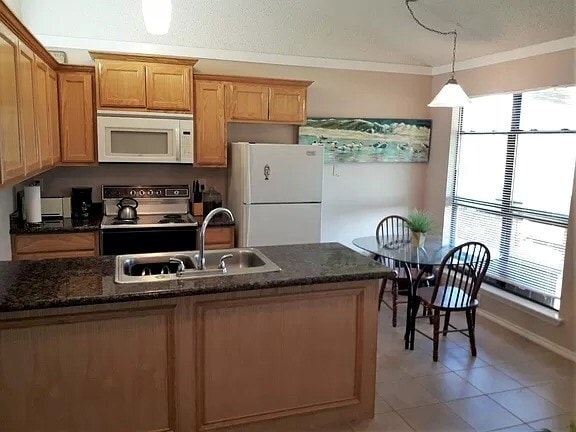 1414 Palo Blanco Dr in Port Isabel, TX - Building Photo - Building Photo