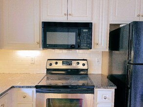 205 Wellington St in Asheville, NC - Building Photo - Building Photo