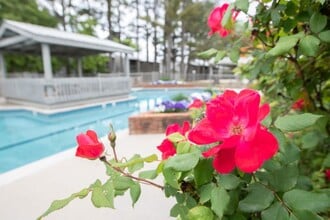 Windscape Homes in Madison, AL - Building Photo - Building Photo