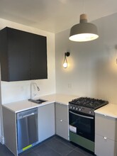 227 S Logan St-Unit -1 in Denver, CO - Building Photo - Building Photo