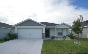12221 Cypress Br St in Riverview, FL - Building Photo