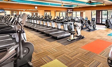 3681 N 153rd Ln in Goodyear, AZ - Building Photo - Building Photo