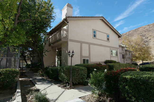 26118 Alizia Canyon Dr