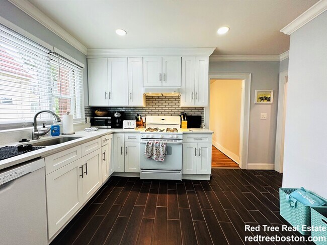 19 Larose Plz in Boston, MA - Building Photo - Building Photo