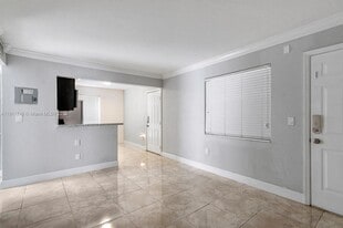 241 S Royal Poinciana Blvd in Miami Springs, FL - Building Photo