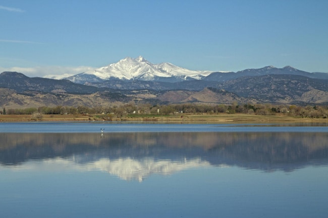 2967 Lakeshore Dr in Longmont, CO - Building Photo - Building Photo