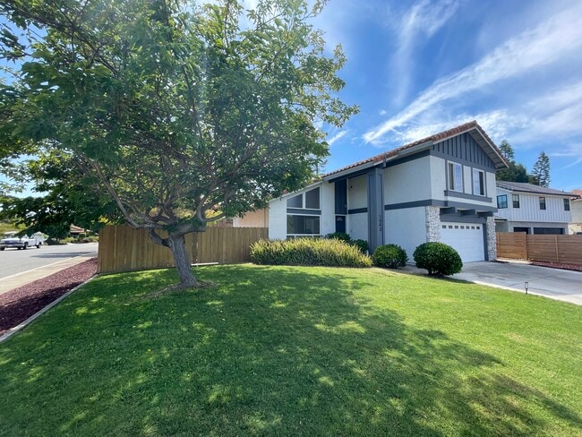 property at 1543 Calle Violetas