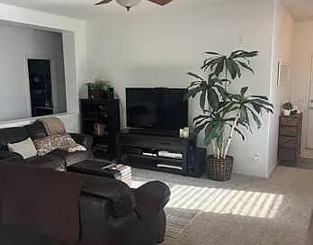 1126 E Pedro Rd in Phoenix, AZ - Building Photo - Building Photo