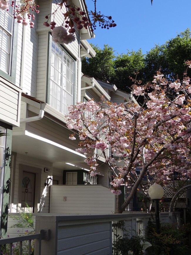964 Belmont Ter, Unit 5 in Sunnyvale, CA - Foto de edificio - Building Photo