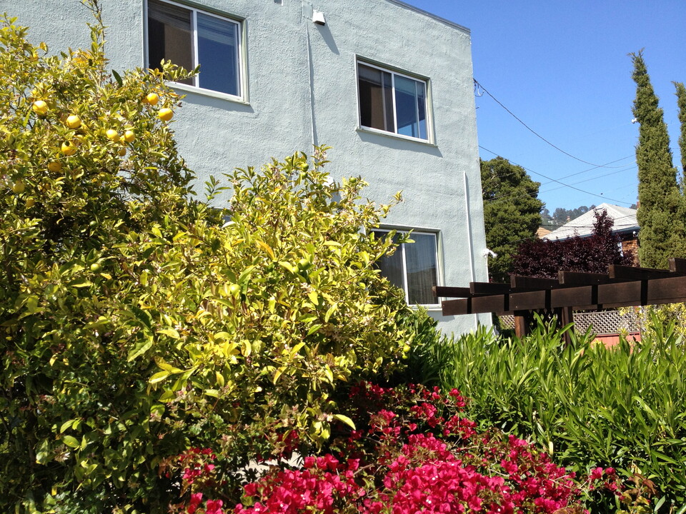 1334 Walnut St in Berkeley, CA - Building Photo