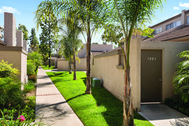 The Terrace Apartments in Placentia, CA - Building Photo - Building Photo