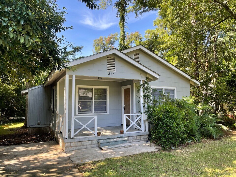 217 W 4th Ave in Tallahassee, FL - Building Photo