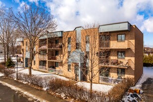 7485-7515 Mariana-Jodoin St in Montréal, QC - Building Photo