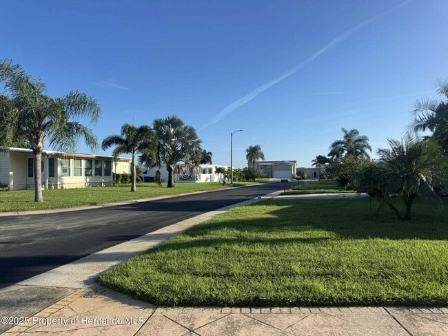 22 Hamilton Ave in Palm Harbor, FL - Building Photo - Building Photo